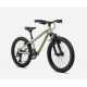 ORBEA MX 20 XC