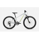 ORBEA MX 24 XC