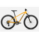 ORBEA MX 24 XC