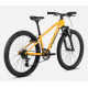 ORBEA MX 24 XC